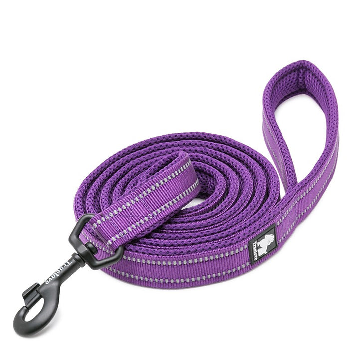 True Love Reflective Pet Leash 2m - Purple, M-1962324902472192001