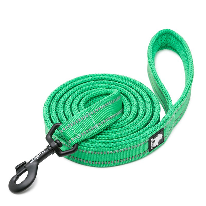 True Love Reflective Pet Leash 2m - Green, L-1962324901293592576