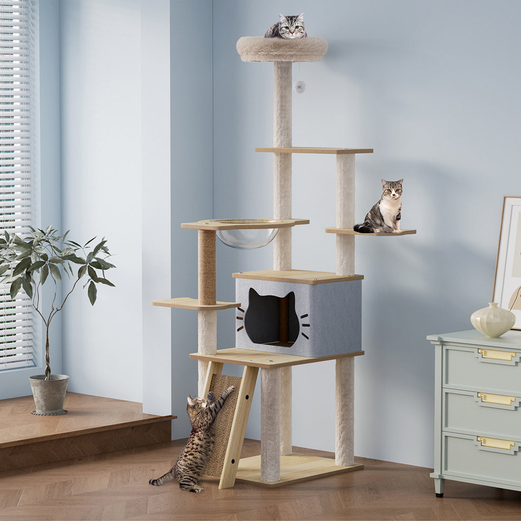 Pawz Cat Tree Tower Large Scratcher Condo House 160cm-1973193540561408006