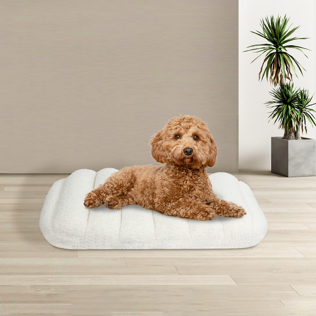 Pawz S Size Orthopedic Dog Bed with Sherpa Plush Removable Cover in White-1975420345624170502