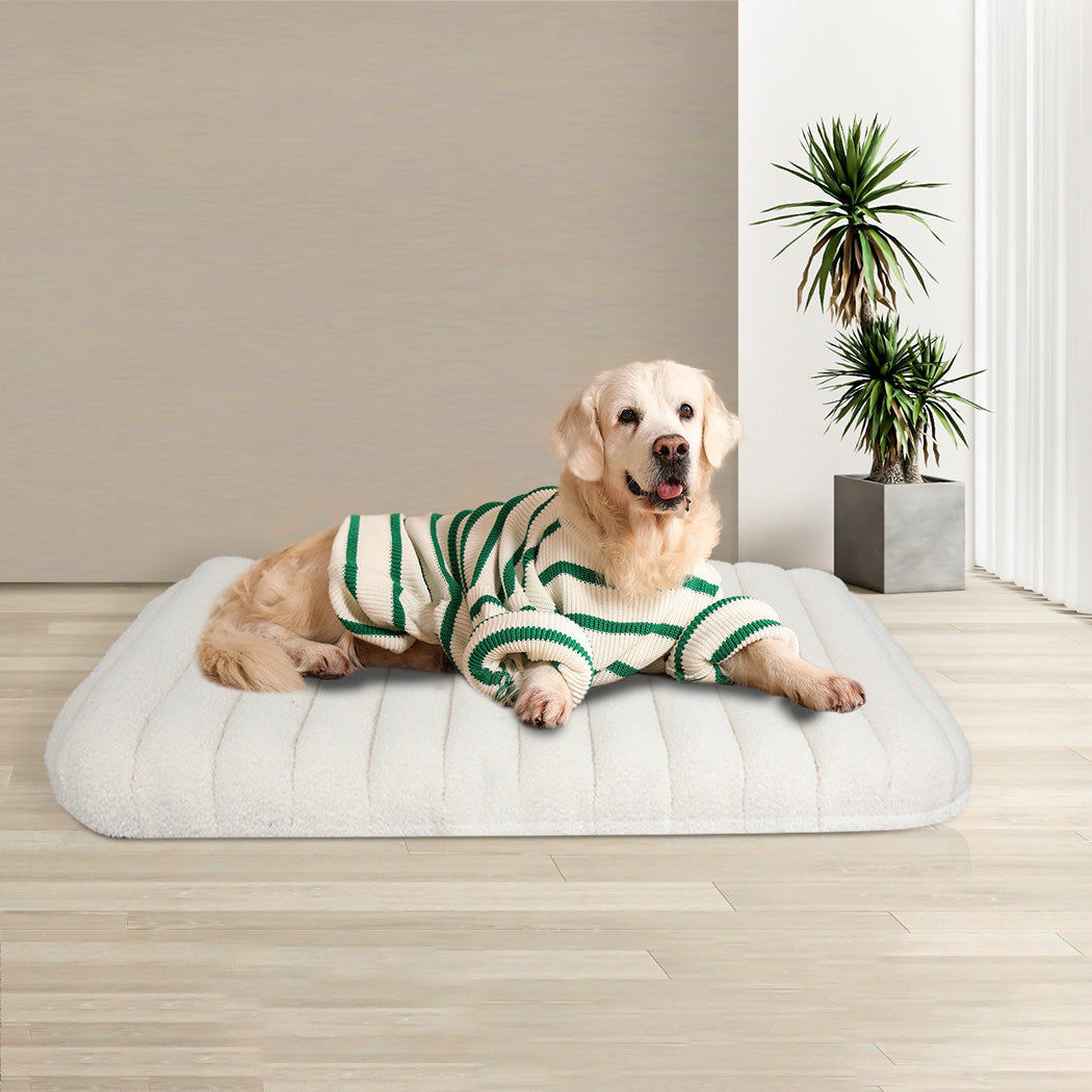 Pawz L Size Orthopedic Dog Bed with Sherpa Plush Removable Cover in White-1975420344915333126
