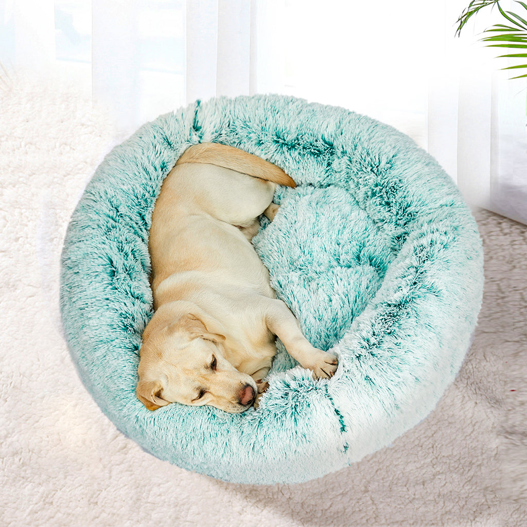 PaWz Replaceable Cover For Dog Calming XL Teal Cover X-Large-1973193633532350470