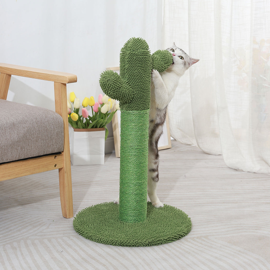 Cactus Cat Scratching Posts Pole Tree-1973193644559175686