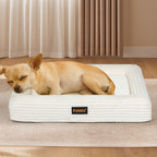 Pawz M Size Orthopedic Dog Bed with Corduroy Removable Cover Waterproof Washable Beige-1975420347603881990
