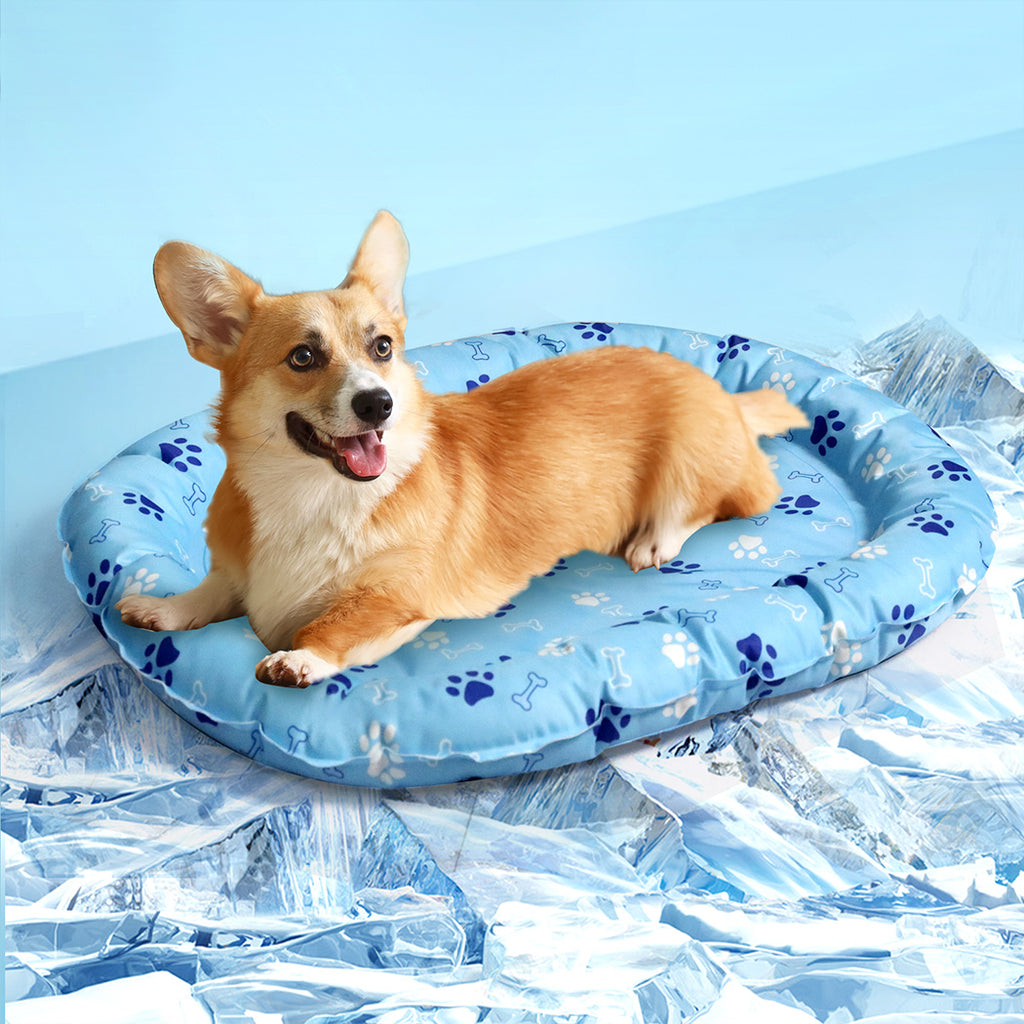 Pawz Pet Cooling Mat M Blue-1973193490980540422