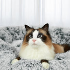 PaWz Pet Bed Memory Foam Dog Donut Charcoal Medium-1973193687139749894