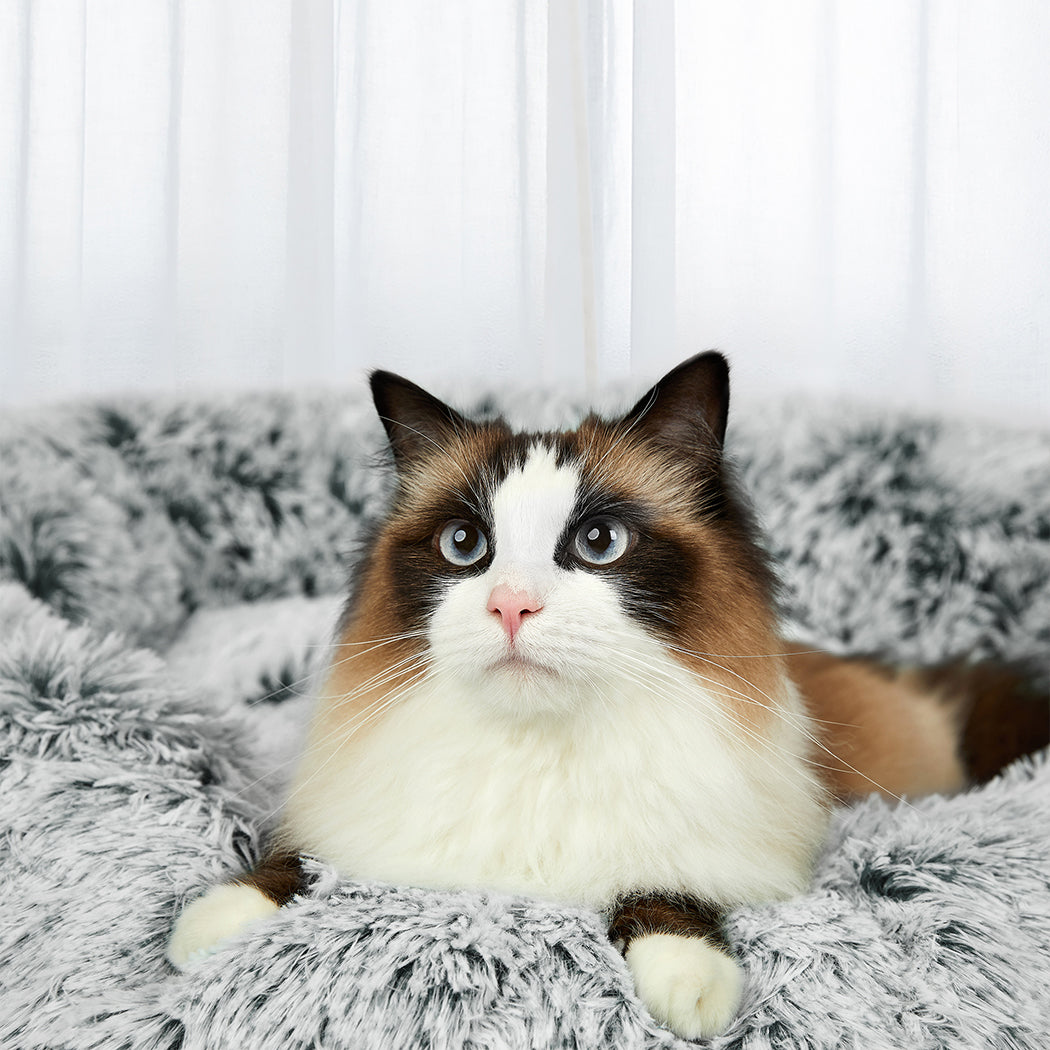 PaWz Pet Bed Memory Foam Dog Donut Charcoal Medium-1973193687139749894