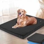 PaWz Pet Bed Foldable Dog Puppy Beds Black Medium-1973193901850365958