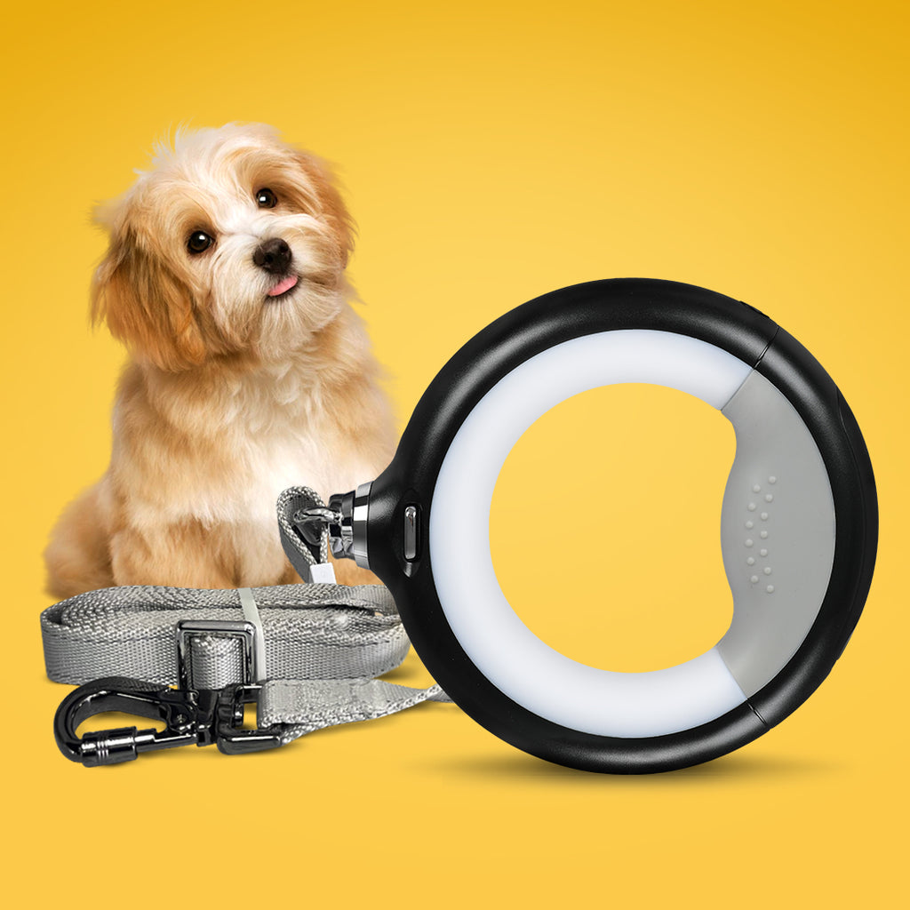 PaWz LED Dog Leash Lead Walking Rope Black-1975420394810773510