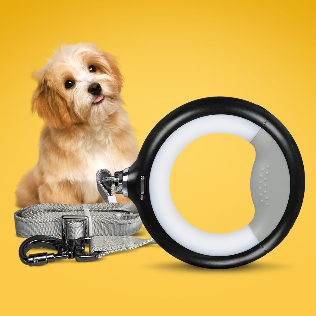 PaWz LED Dog Leash Lead Walking Rope Black-1975420394810773510