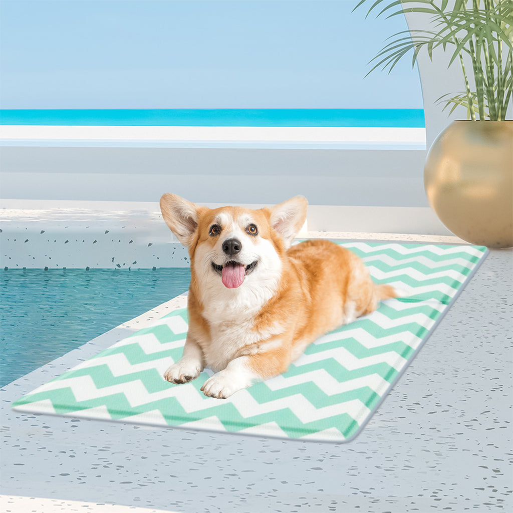 Pawz Pet Cooling Mat M Green-1973193491165089798