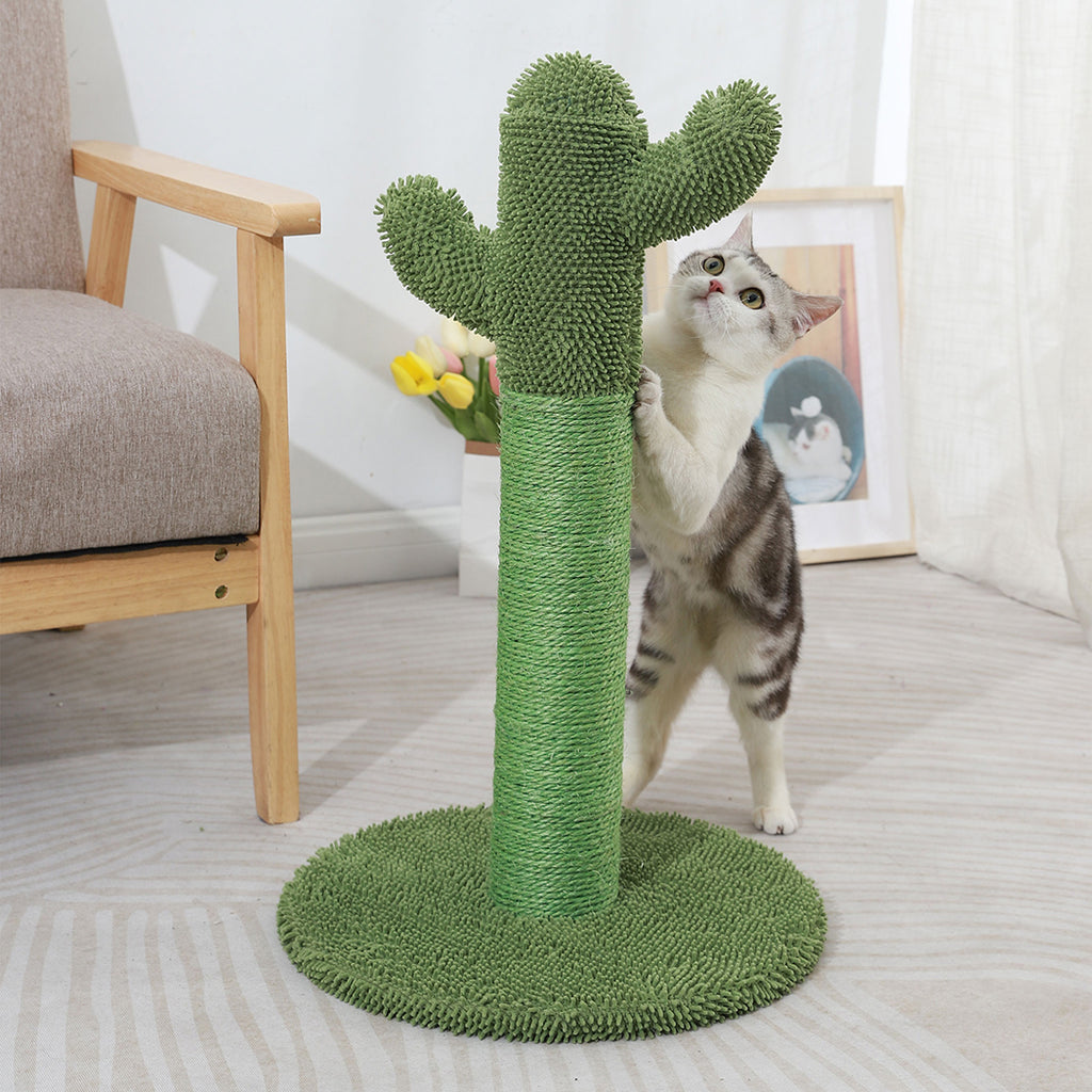 Cactus Cat Scratching Posts Pole Tree-1973193644559175687