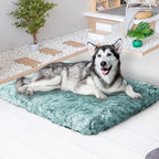 PaWz Dog Mat Pet Calming Bed Memory XL Green X-Large-1973193661843902471