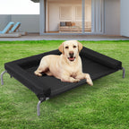 PaWz Elevated Pet Bed Dog Puppy Cat L Large-1975420454466359303