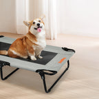 Pawz Pet Elevated Bed Dog Raised Trampoline Foldable Large M Size-1975420346156847111