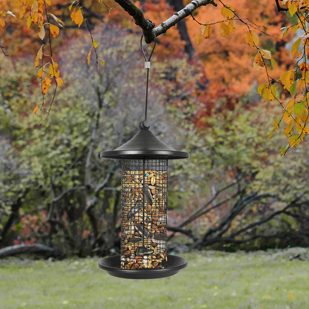 PaWz 3x Bird Feeder Hanging Wild Seed-1973193455240876039