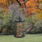 PaWz 3x Bird Feeder Hanging Wild Seed-1973193455240876039