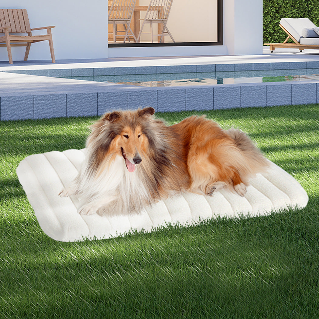 Pawz L Size Orthopedic Dog Bed with Sherpa Plush Removable Cover in White-1975420344915333127