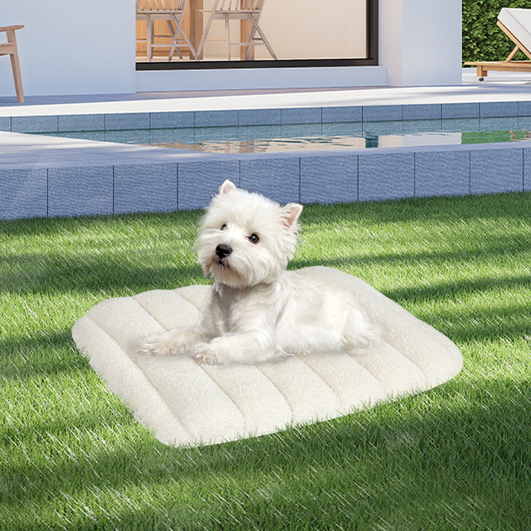 Pawz S Size Orthopedic Dog Bed with Sherpa Plush Removable Cover in White-1975420345624170503