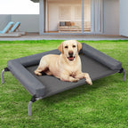 PaWz Elevated Pet Bed Dog Puppy Cat L Large-1975420454650908679