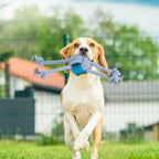 PaWz Dog Chew Toys Squeaky Puppy Pet-1973194202787483655