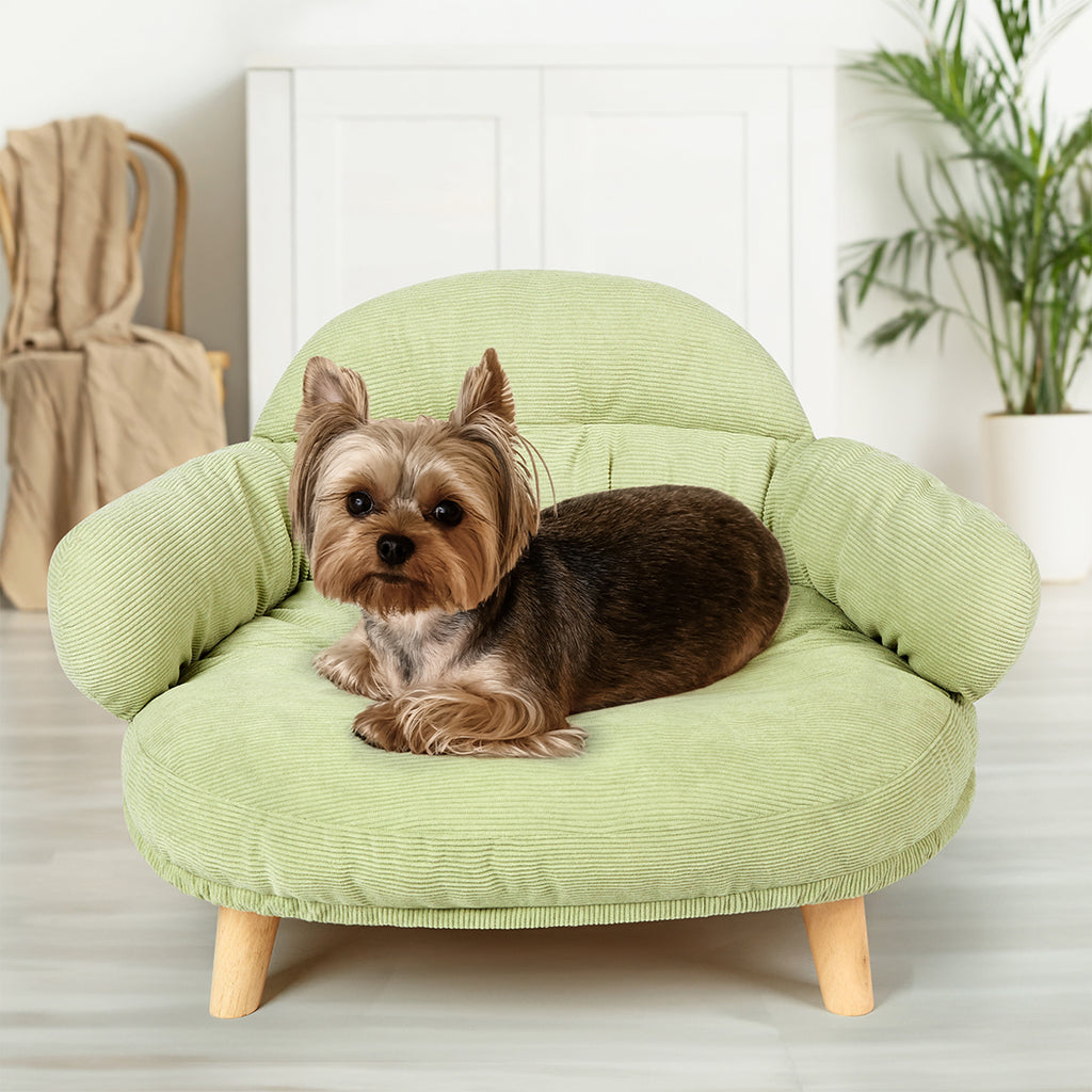 Pawz Elevated Pet Dog Cat Sofa Bed Couch L Size Green-1973193511817842695
