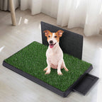 PaWz Indoor Dog Pet Grass Potty Training L-1973193644177494023