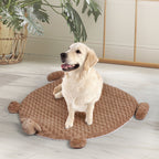 PaWz Pet Bed Cat Calming Bed Dog Squeaky M Tan Medium-1975420450662125575