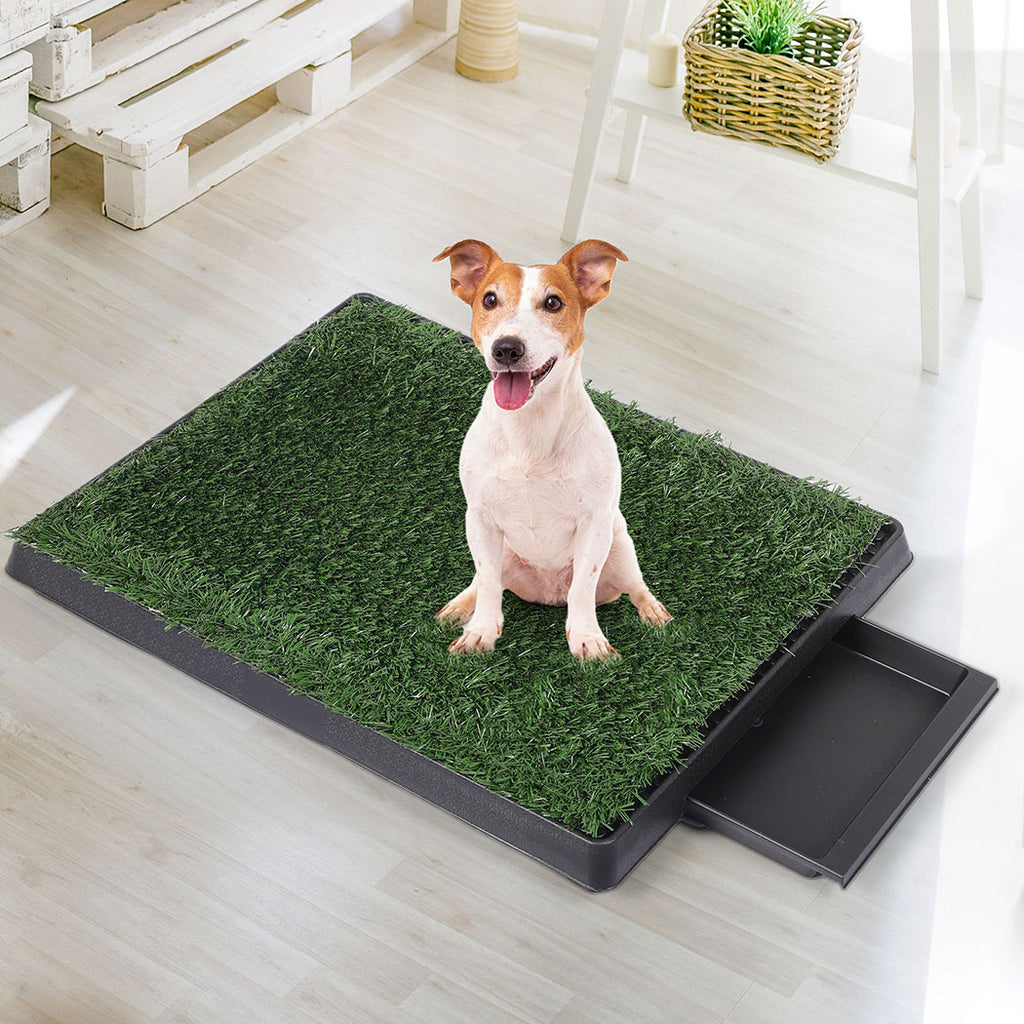 PaWz Indoor Dog Pet Grass Potty Training-1973193644366237702