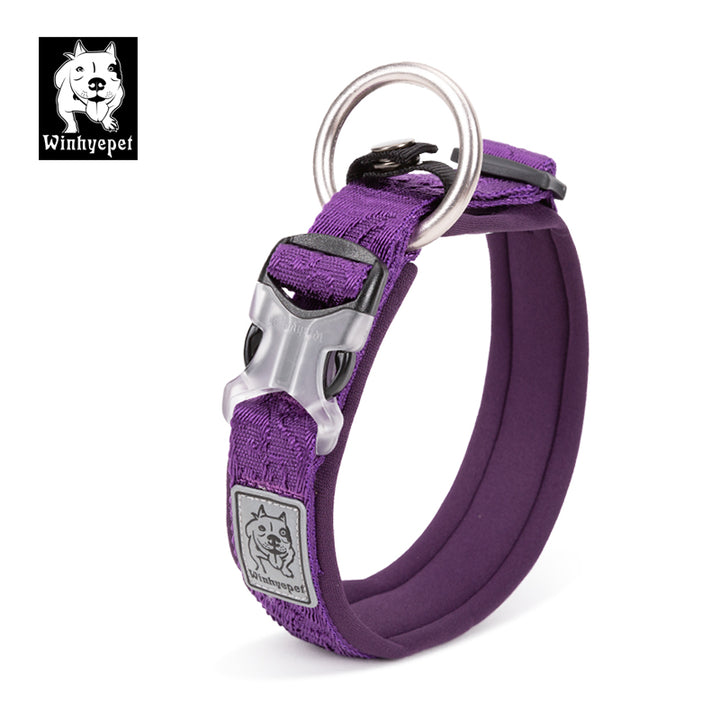 Whinhyepet Collar purple - L-1962324908520378369