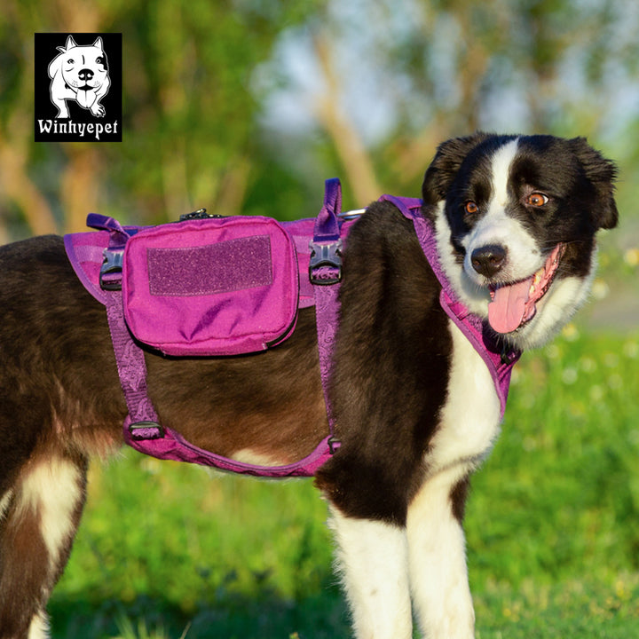 Whinhyepet Military Harness - Purple, L-1831155663502446595