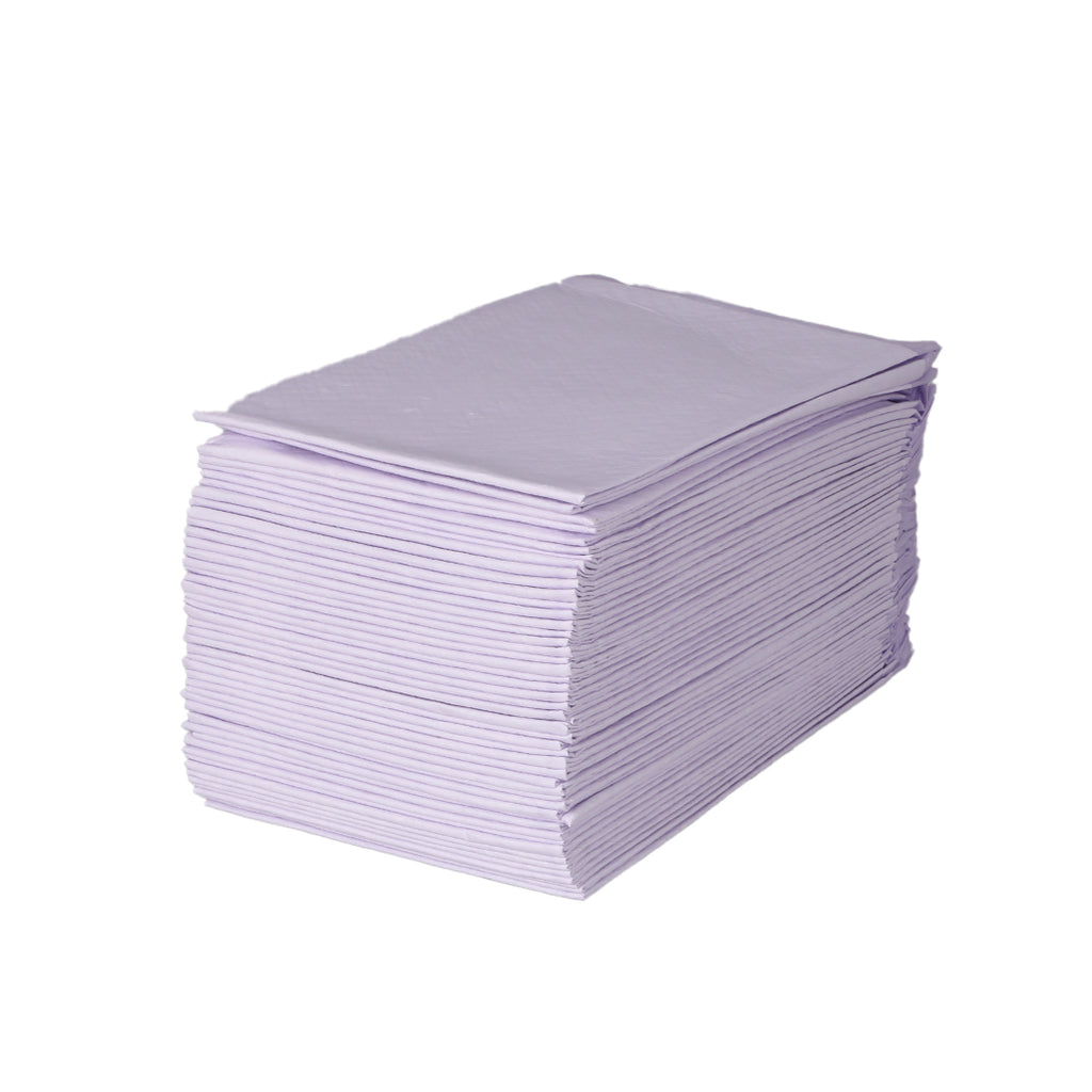 PaWz 100x Pet Dog Toilet Training Pad-1973193681661988868