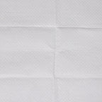 PaWz 100x Pet Dog Toilet Training Pad-1973193681661988869