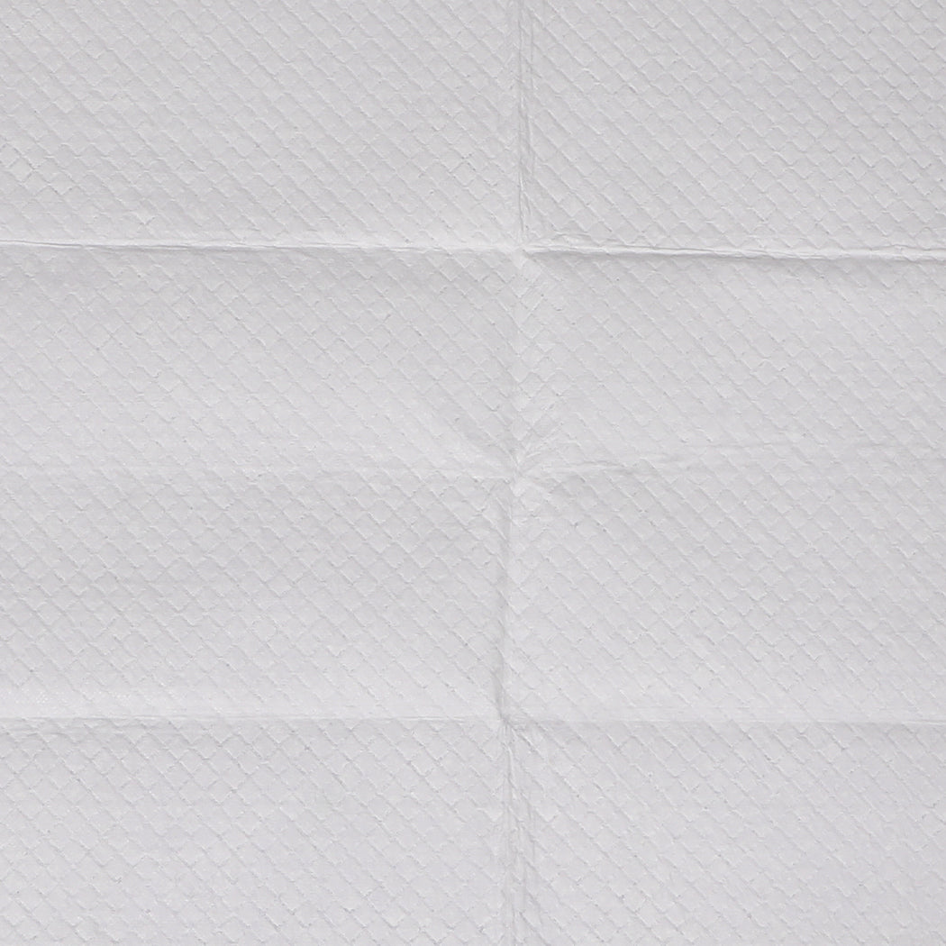 PaWz 100x Pet Dog Toilet Training Pad-1973193681661988869