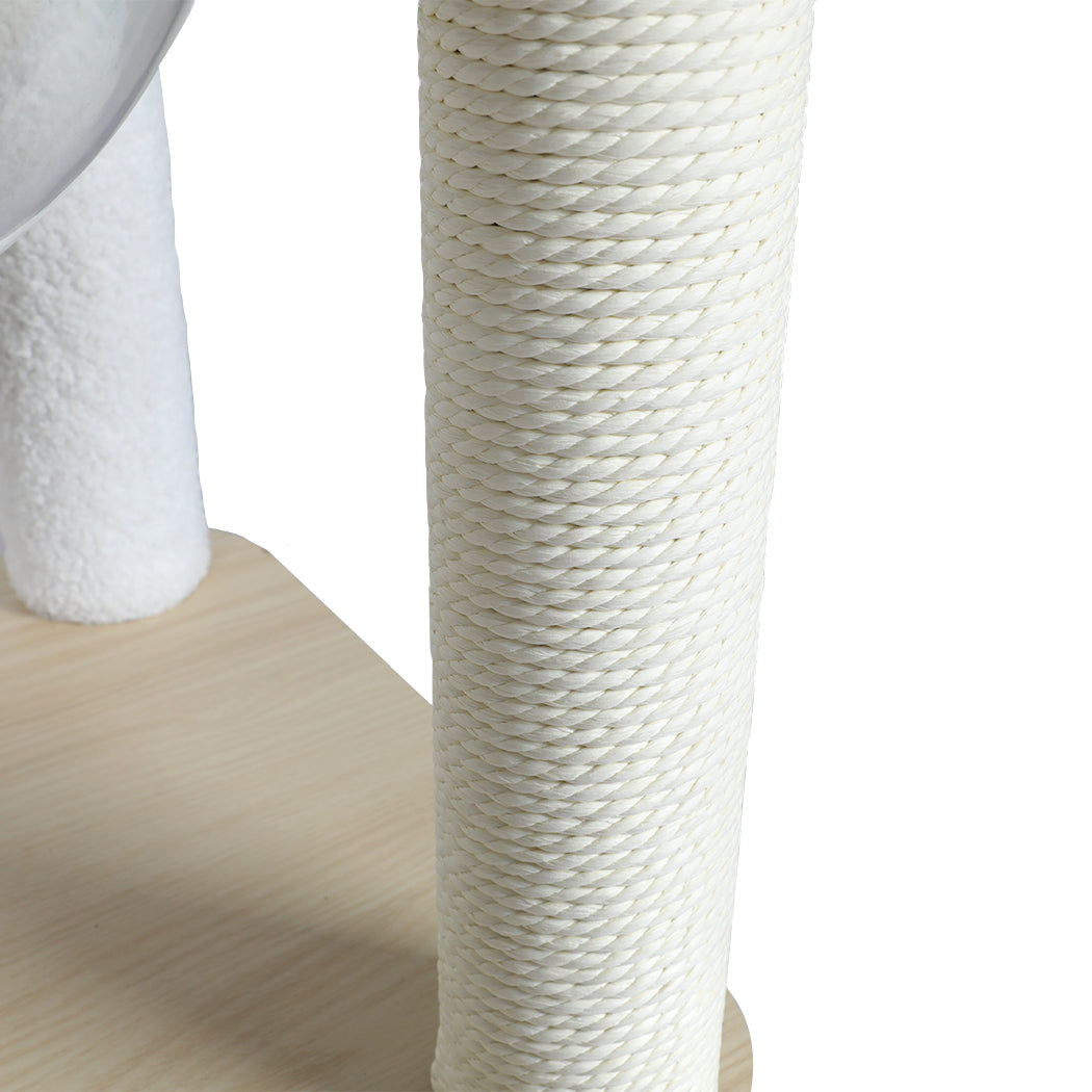PaWz Cat Tree Scratching Post Scratcher-1973193674208710661