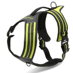 True Love Heavy Duty Sports Dog Harness - Neon Yellow, L-1831155626252832768