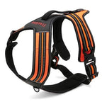 True Love Heavy Duty Sports Dog Harness - Orange, S-1831155628517756928