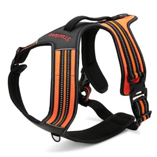 True Love Heavy Duty Sports Dog Harness - Orange, L-1831155628765220864